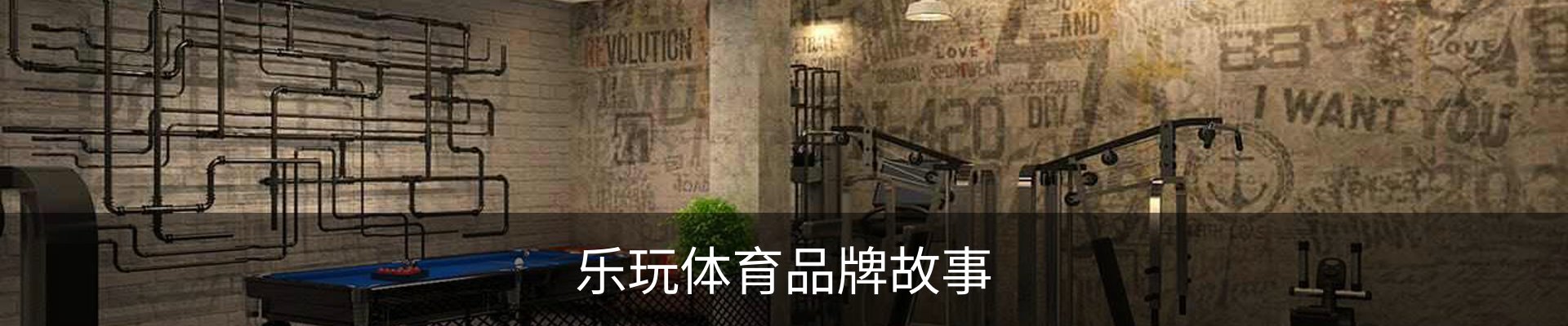乐玩体育品牌故事